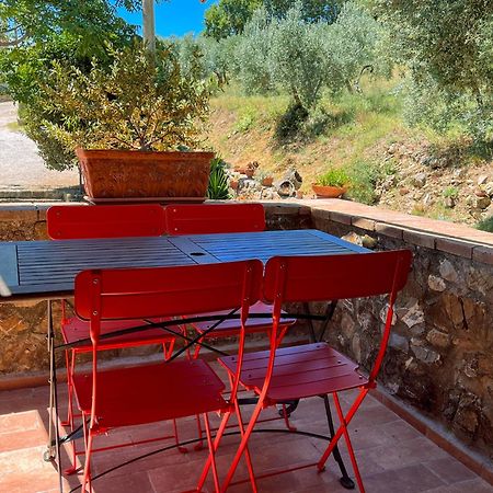 Agriturismo Schiaccia Ghiande Маса Маритима Екстериор снимка